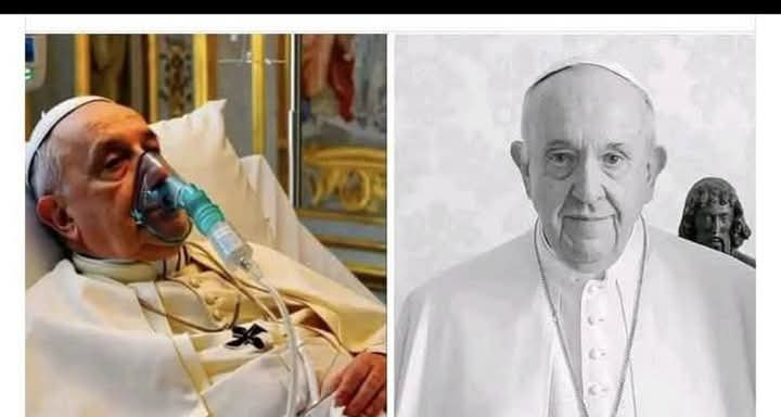 Breaking News! His Holiness Pope Francis has failed… 178